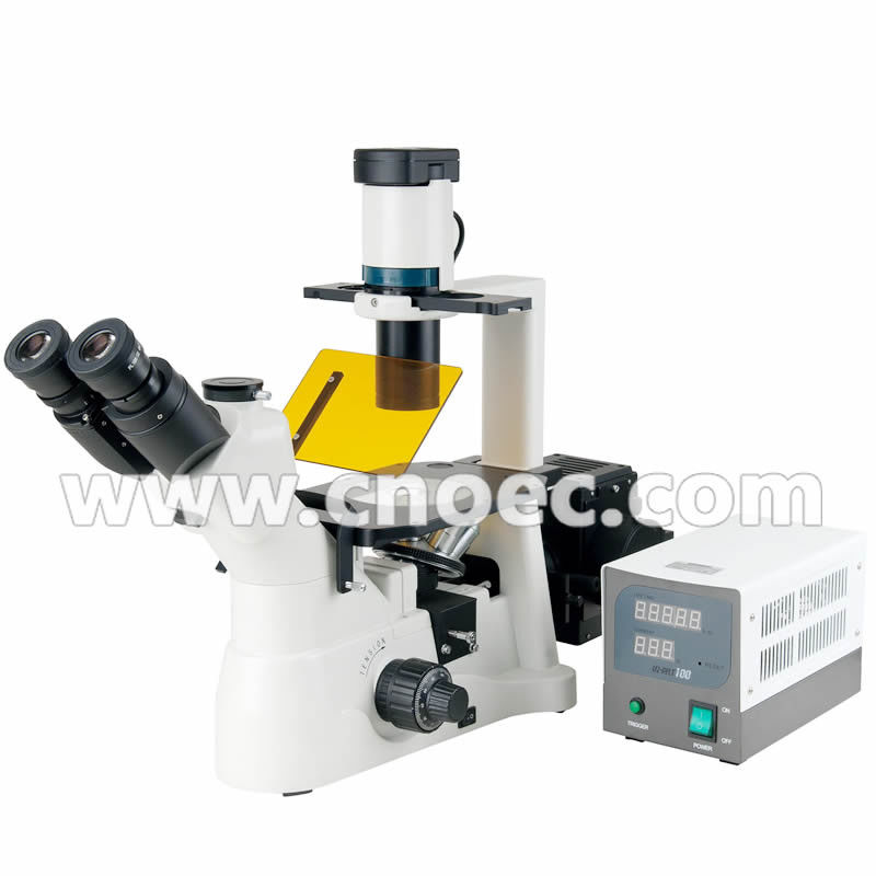 Laboratory Fluorescence Microscope