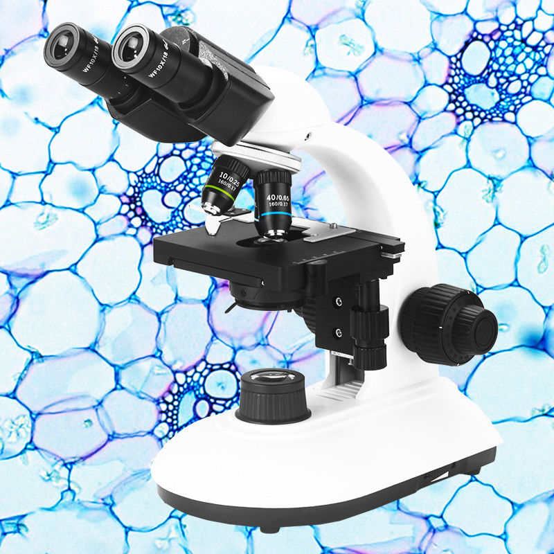 LED OPTO-EDU A11.2601-BP Laboratory Microscope Binocular
